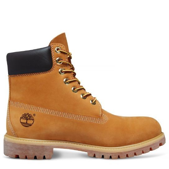 Timbs Collection TIMBS – X2k